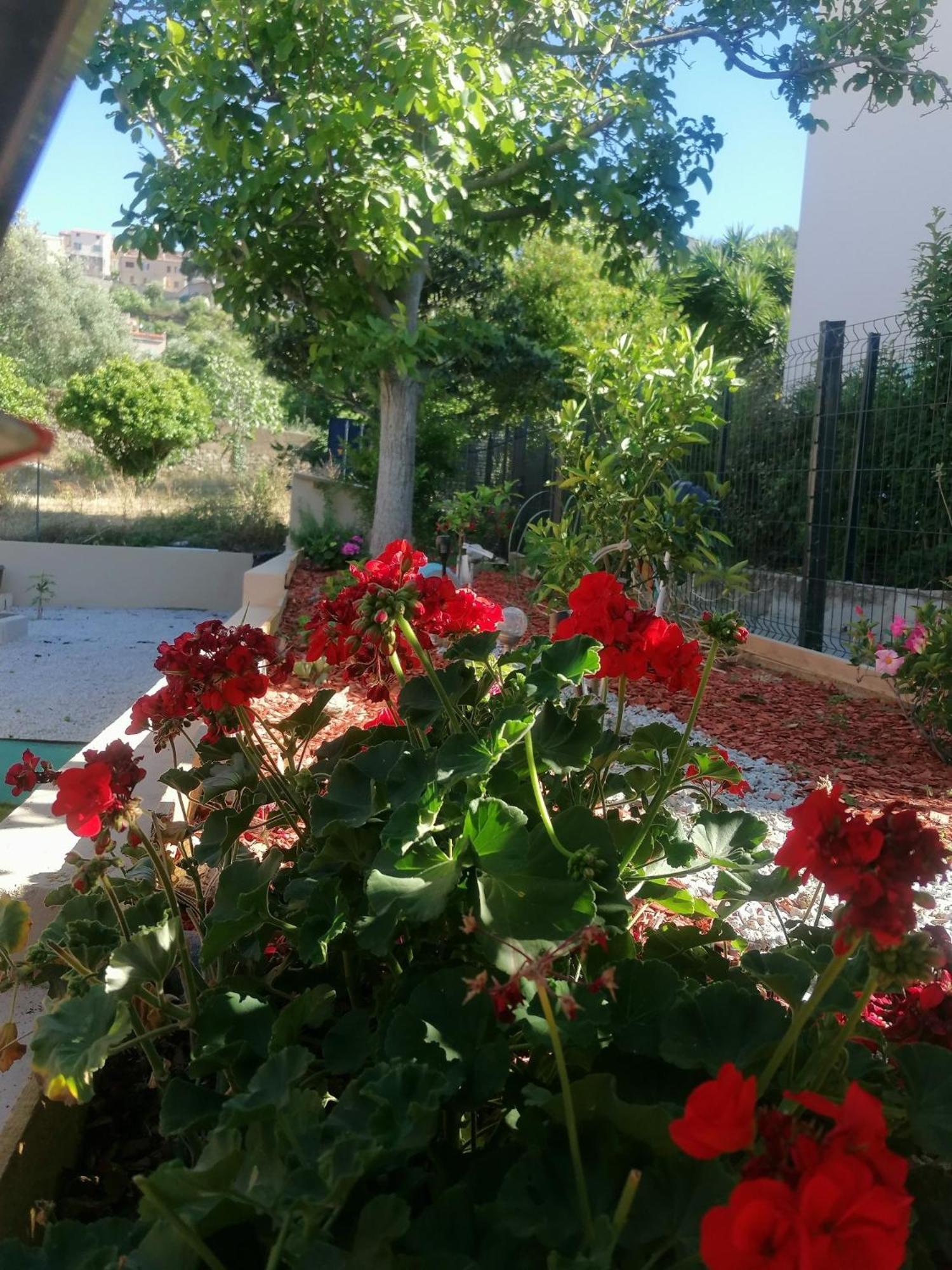 A Casa Assulanatta Bed & Breakfast Santa-Reparata-di-Balagna Exterior foto